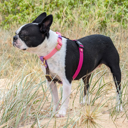 Adjustable waterproof harness