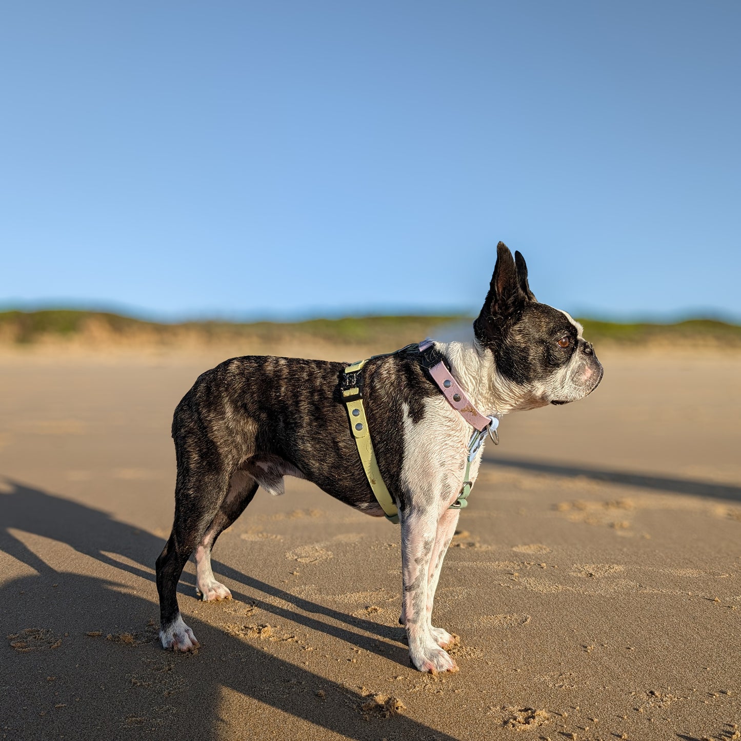 Adjustable waterproof harness