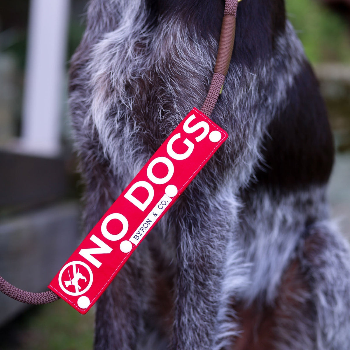 Dog Leash Wraps | Awareness & Training Lead Wraps