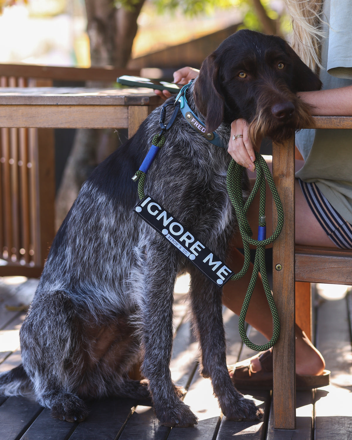 Dog Leash Wraps | Awareness & Training Lead Wraps