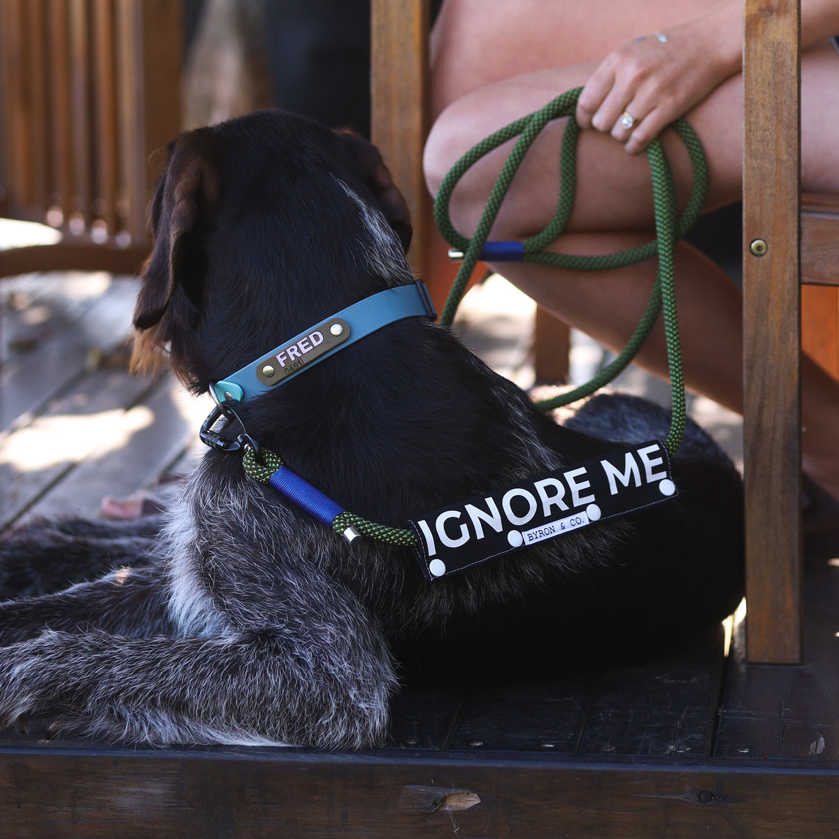 Dog Leash Wraps | Awareness & Training Lead Wraps