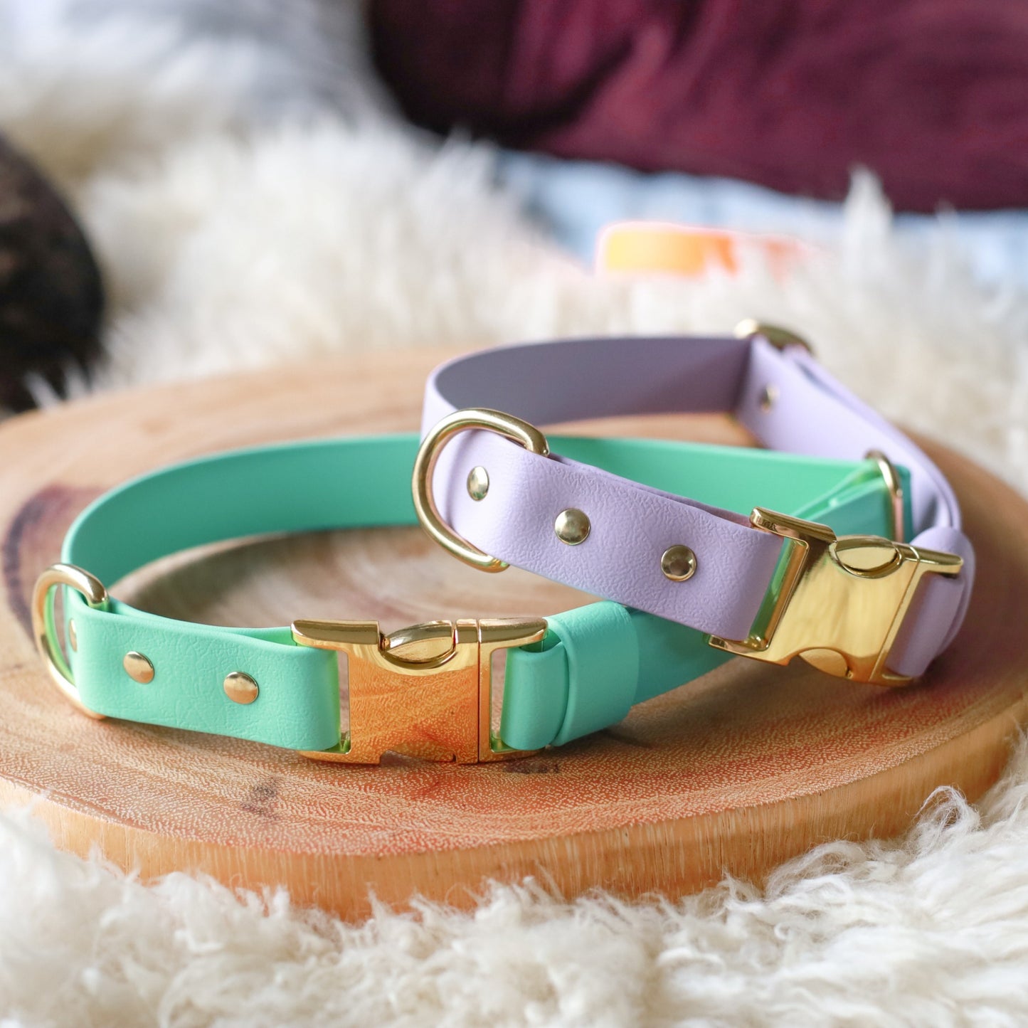 Adjustable collar with brass buckle