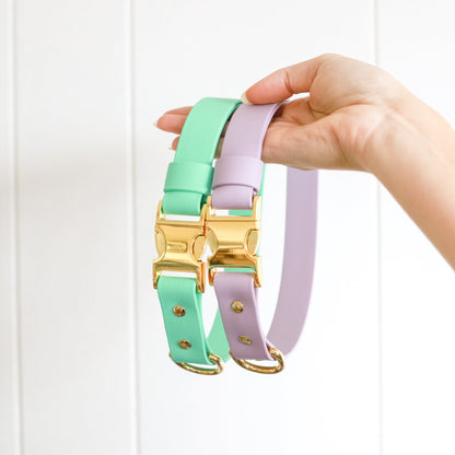 Adjustable collar with brass buckle