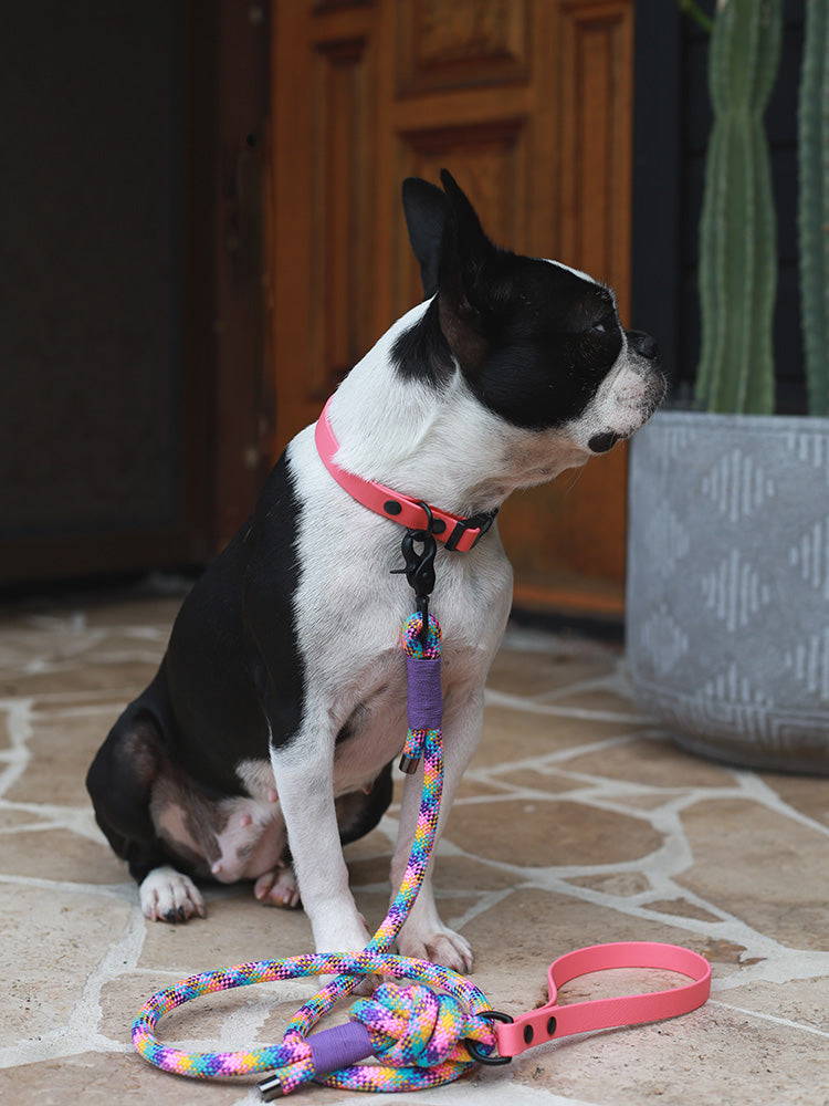 Candyland Rope leash with BioThane handle