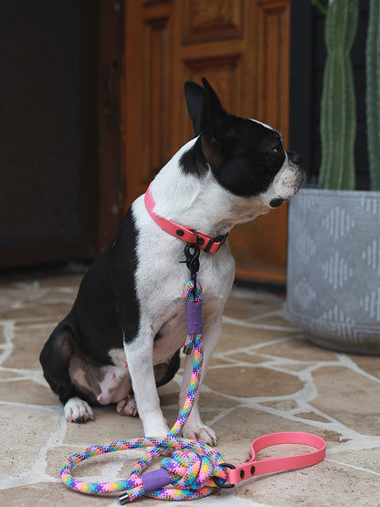 Rope leash with BioThane handle