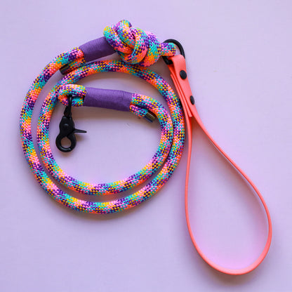 Rope leash with BioThane handle