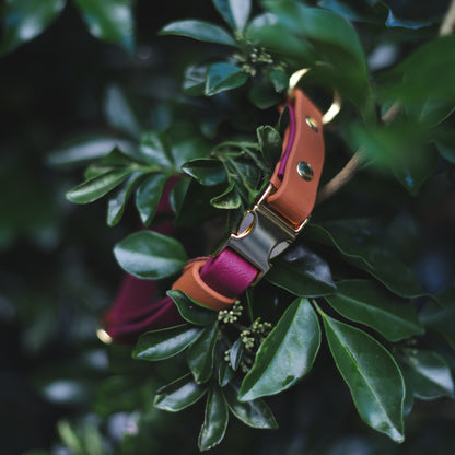 Adjustable collar with metal buckle