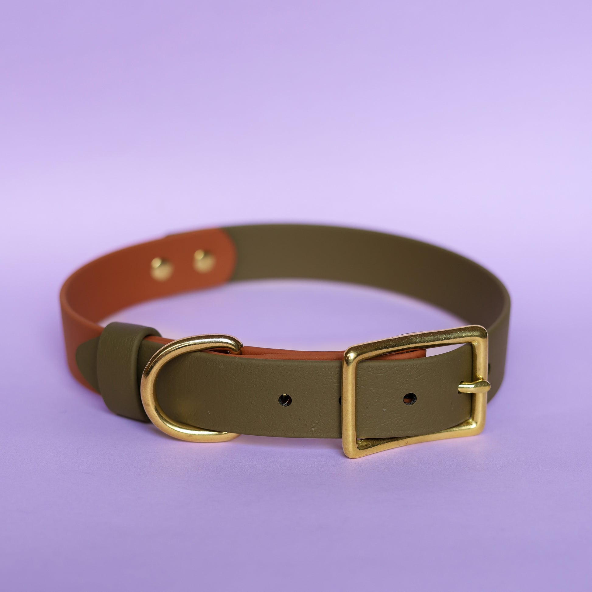 2-Color luxury dog collar with brass fittings – Waggy Pooch