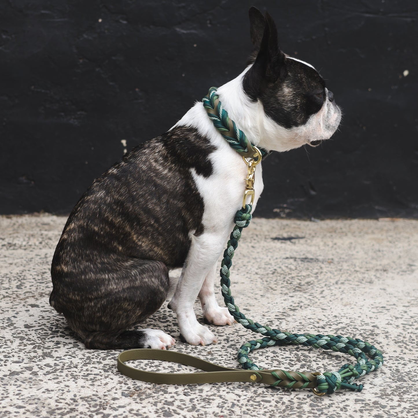Braided paracord leash with Biothane handle - Olive