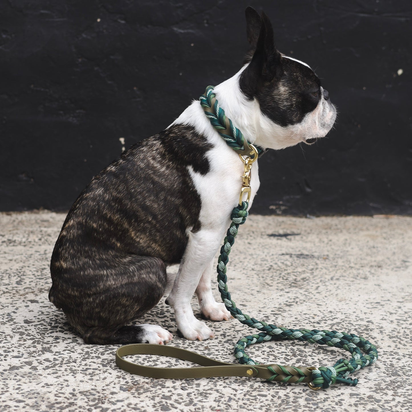 Pine Braided paracord collar