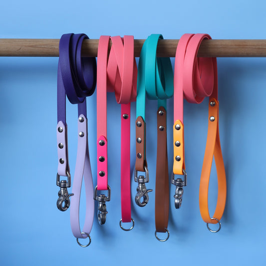 Two tone waterproof leash 120-180cm