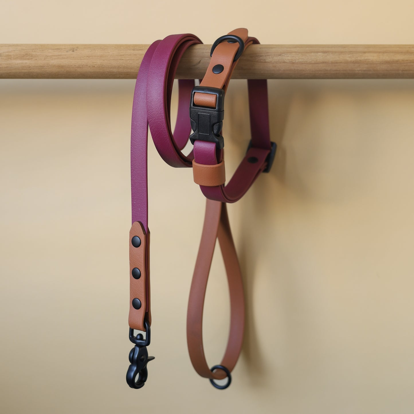 Adjustable collar with quick release buckle - two tones