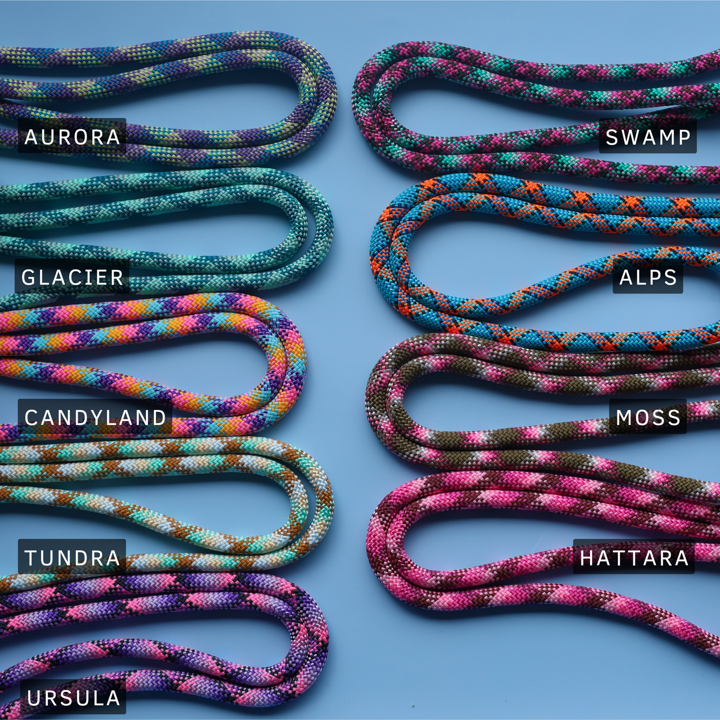 All rounder rope leash