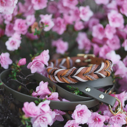Dunes Braided paracord collar