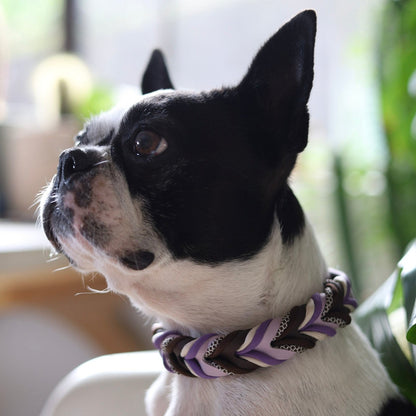 Mist Braided paracord collar