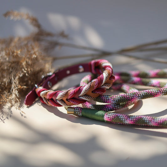 Braided paracord collar - Berry