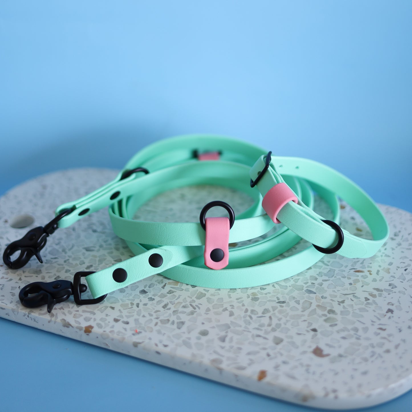 Handsfree multi-function leash