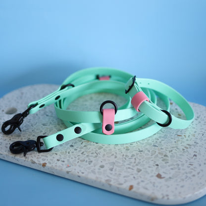 Handsfree multi-function leash