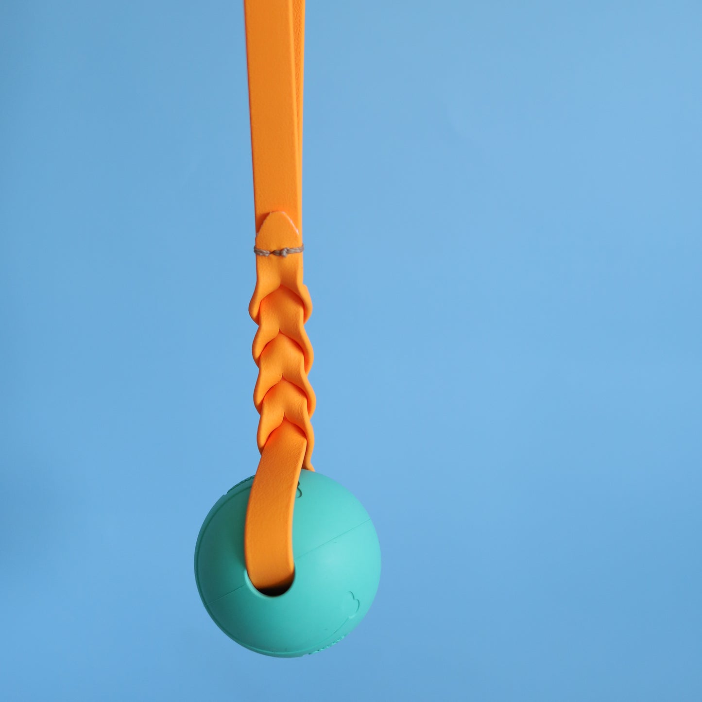 Reward ball with BioThane handle