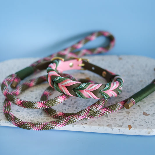 Moss Braided paracord collar