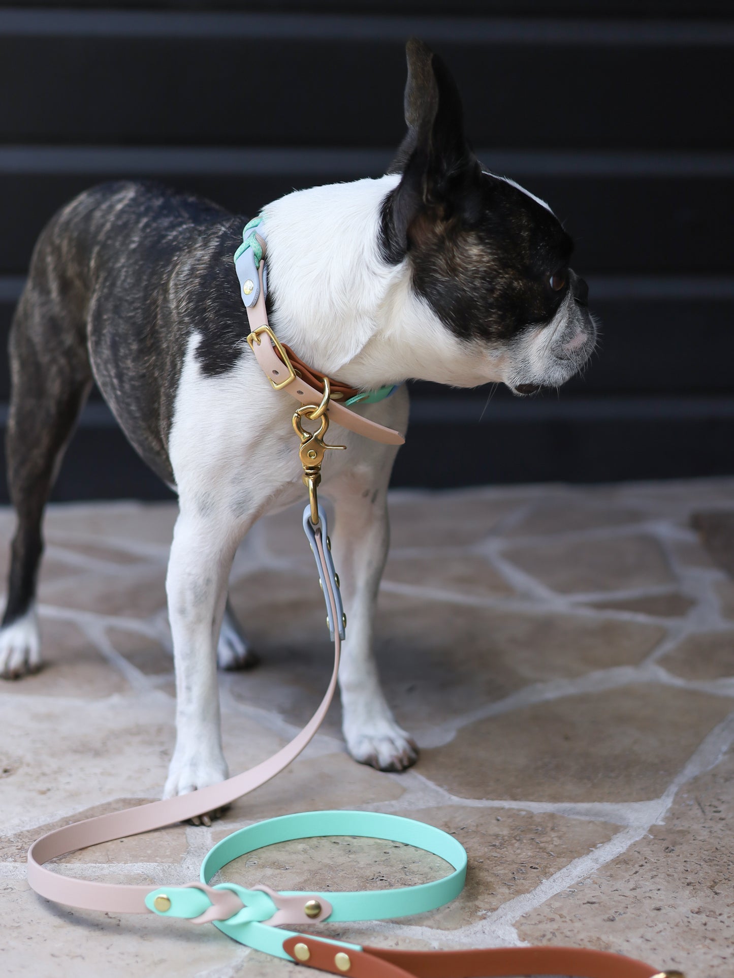 Breeze BioThane leash with braided detailing