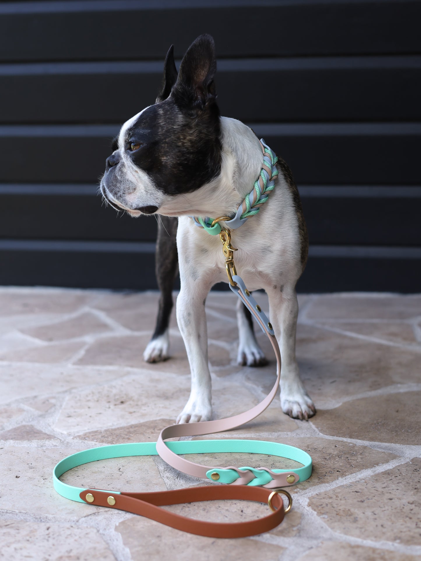 Breeze braided collar with O ring