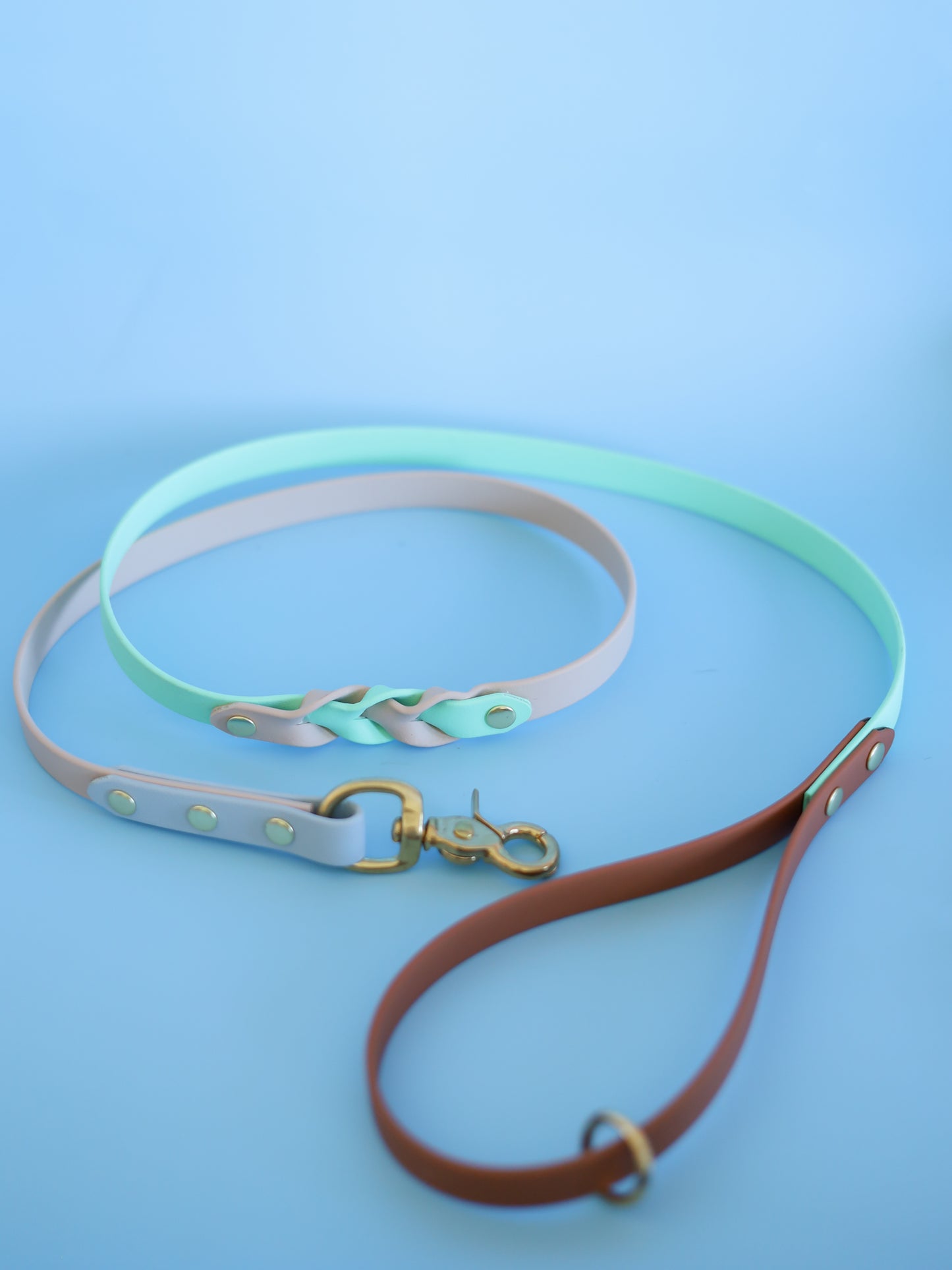 Breeze BioThane leash with braided detailing