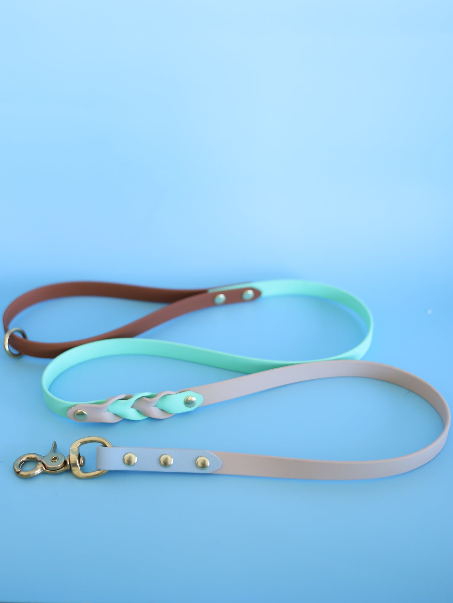Breeze BioThane leash with braided detailing
