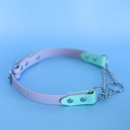 Adjustable martingale collar