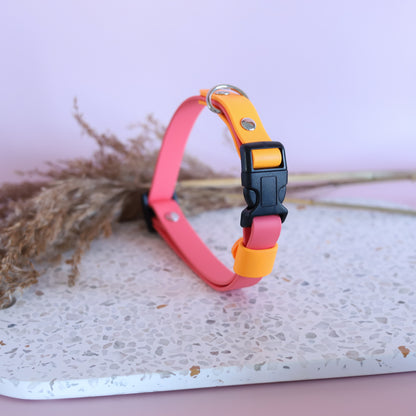 Pre-made coral pink and pastel orange adjustable collar
