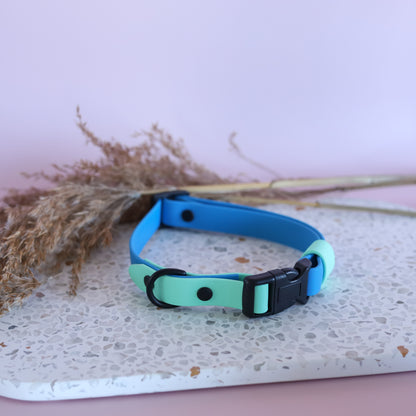 Pre-made cyan and mint adjustable collar