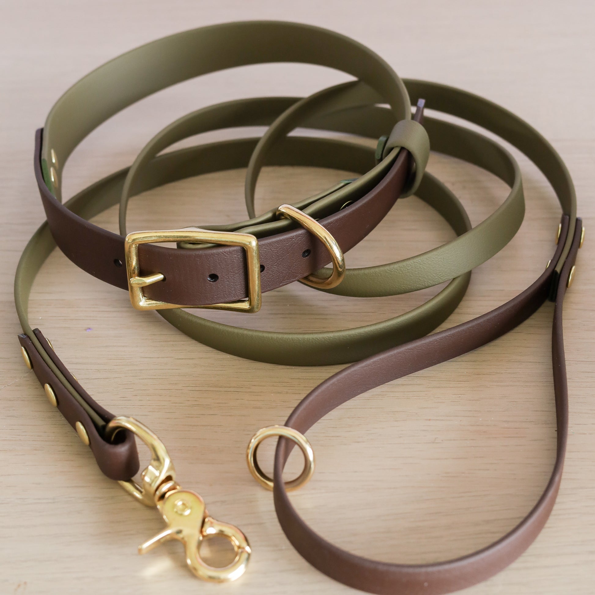 2-Color luxury dog collar with brass fittings – Waggy Pooch