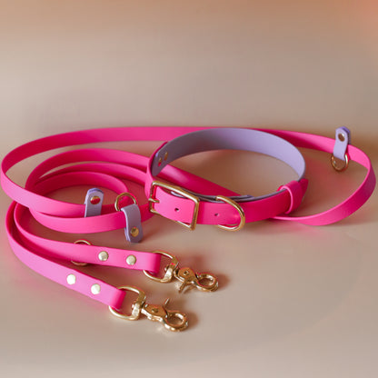Handsfree multi-function leash