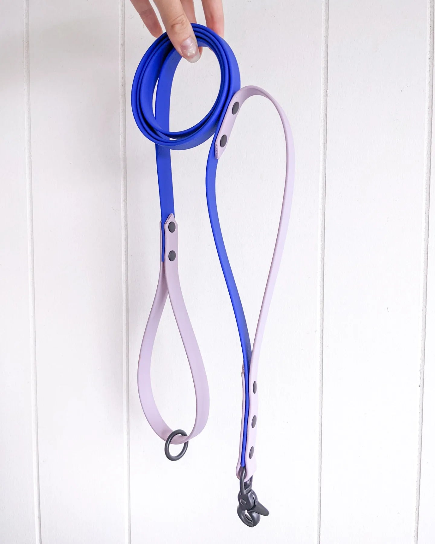 Two tone leash with traffic handle