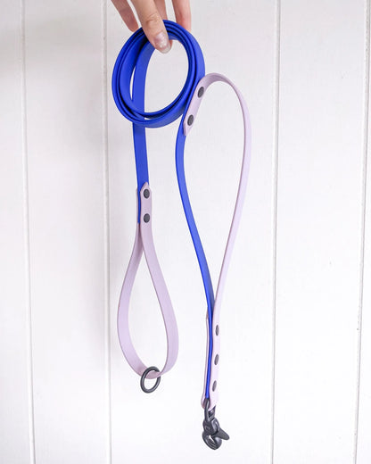 Two tone leash with traffic handle