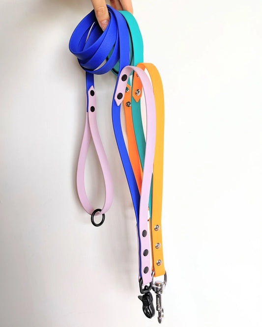 Two tone leash with traffic handle