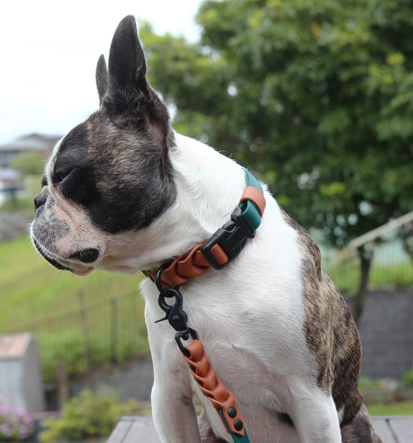 Braided adjustable collar - two tones