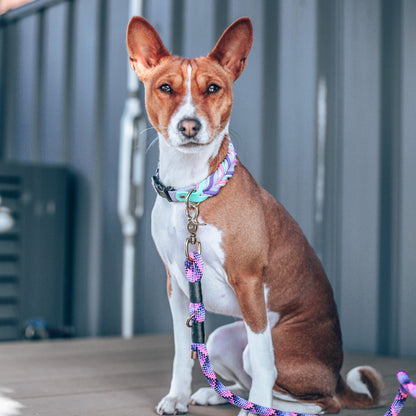Unicorn Braided paracord collar